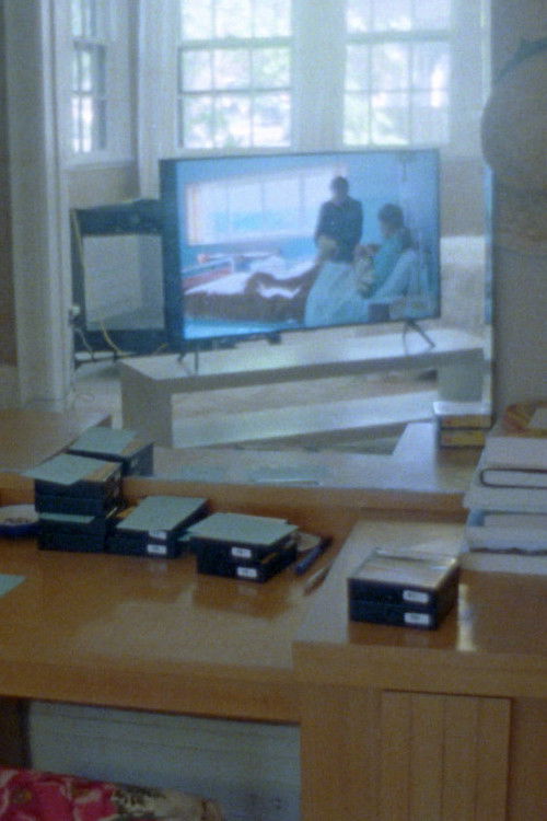 Postpartum Film (2025) poster