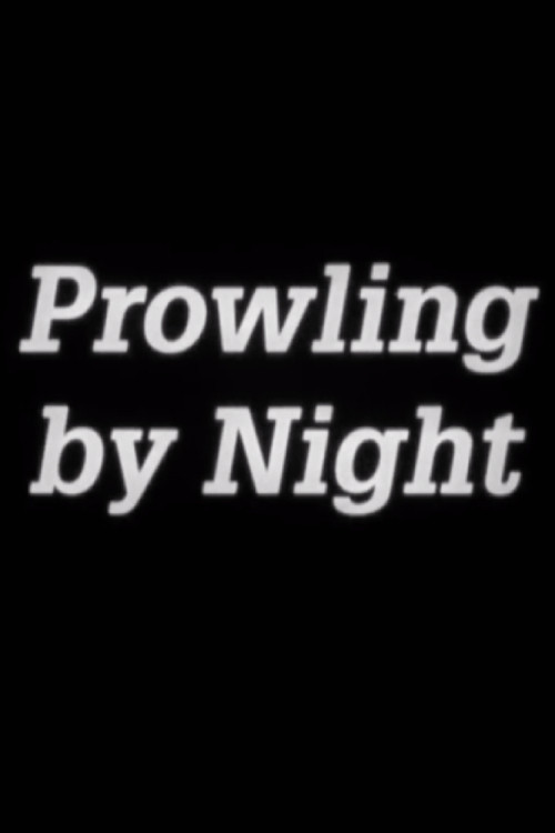 Prowling by Night (1990) poster