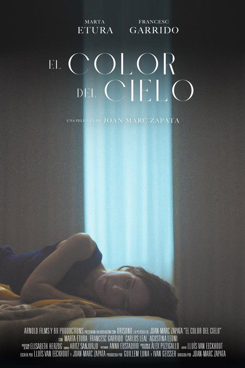 Color of Heaven (2022) poster
