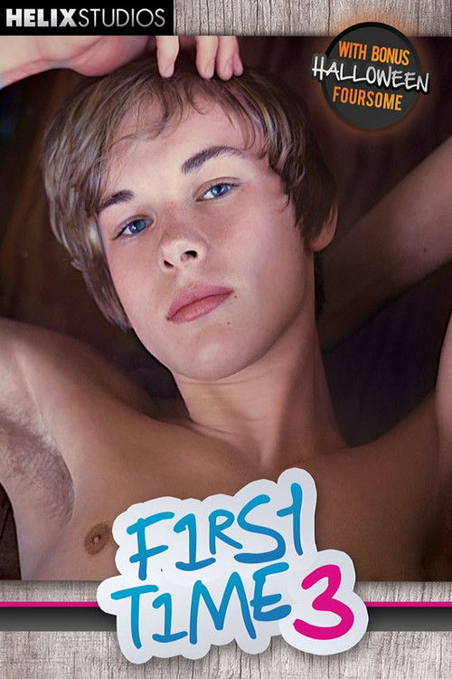 First Time 3 (2013) poster