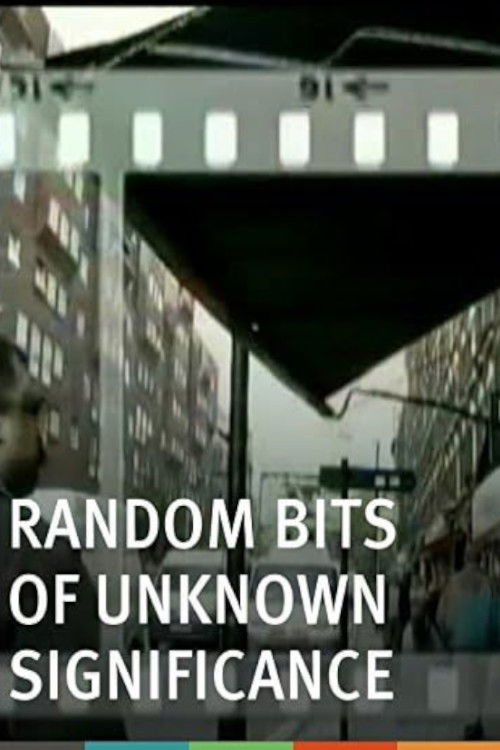 Random Bits of Unknown Significance (2008) poster
