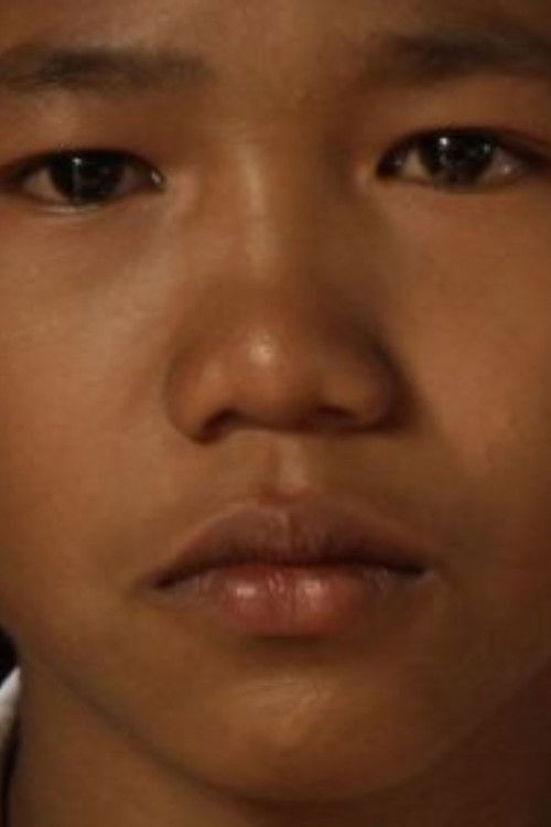 Crossing Midnight (2009) poster