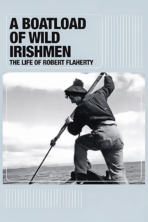 A Boatload of Wild Irishmen (2010) poster