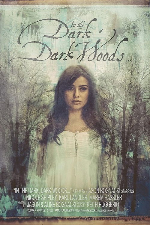 In the Dark, Dark Woods... (2017) poster