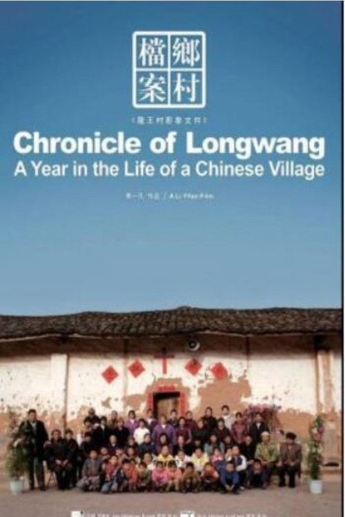 THE LONGWANG CHRONICLES: A YEAR OF LIFES IN A CHINESE VILLAGE (2009) poster