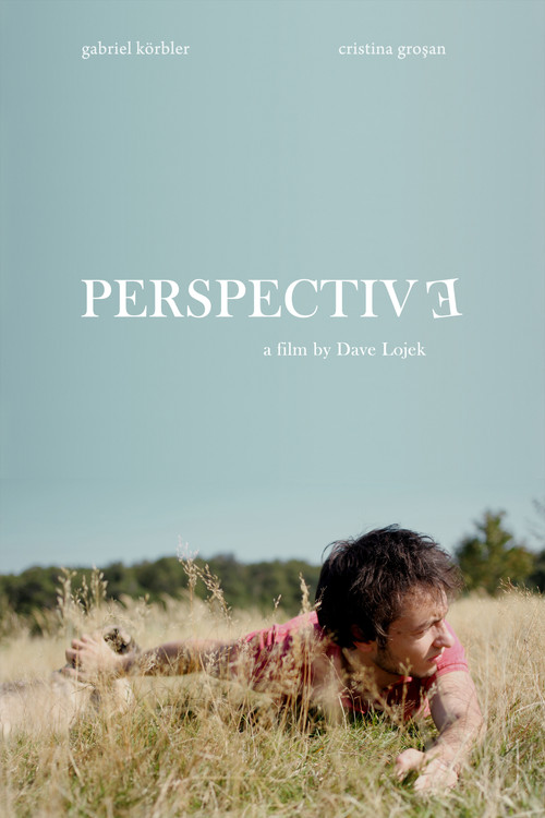 Perspective (2010) poster