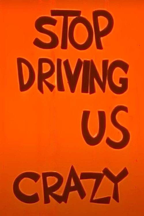 Stop Driving Us Crazy (1961) poster