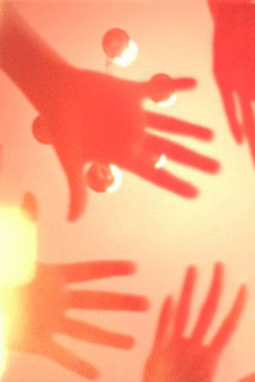 Le bel esprit (2008) poster