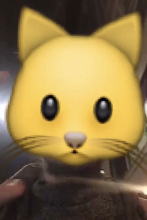 CERTAIN ROGER (2016) poster