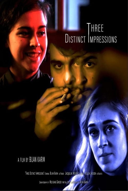 Three Distinct Impressions (2016) poster