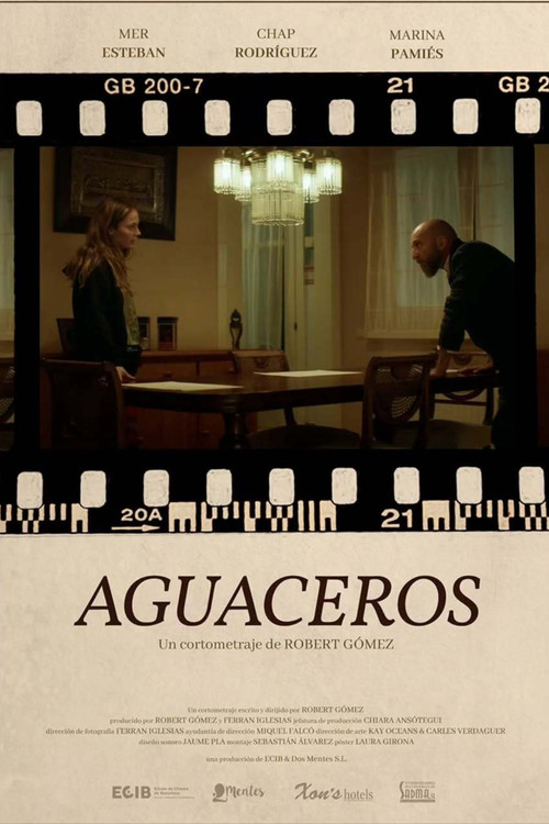 Downpour (2025) poster