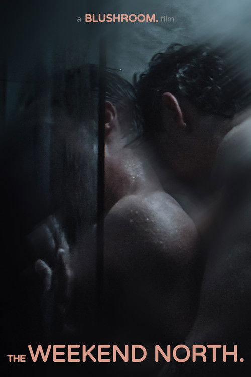 The Weekend North (2026) poster