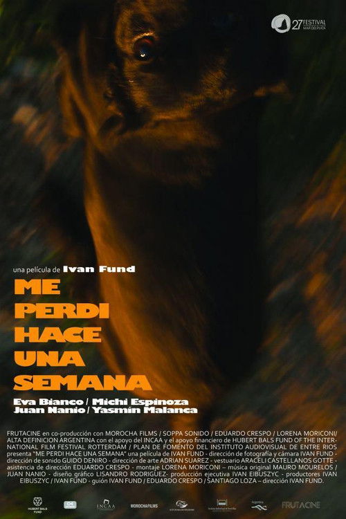 Me perdí hace una semana (2012) poster