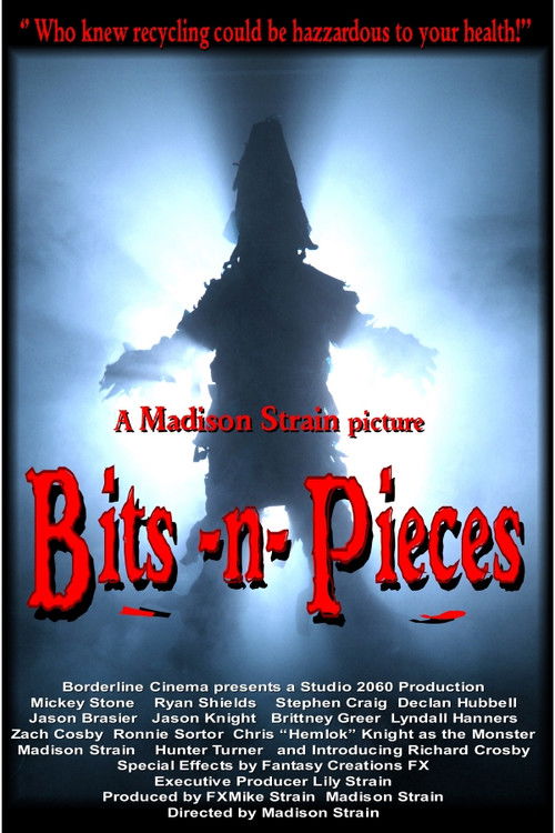 Bits-n-Pieces (2014) poster