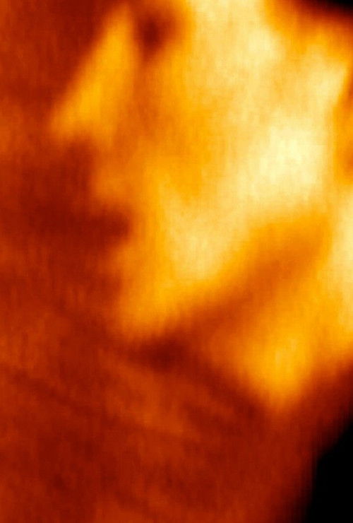 Novembre (2002) poster