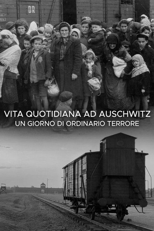 Vita quotidiana ad Auschwitz - Un giorno di ordinario terrore (2020) poster