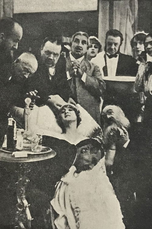 Lina's Adventure in Sochi (1916) poster