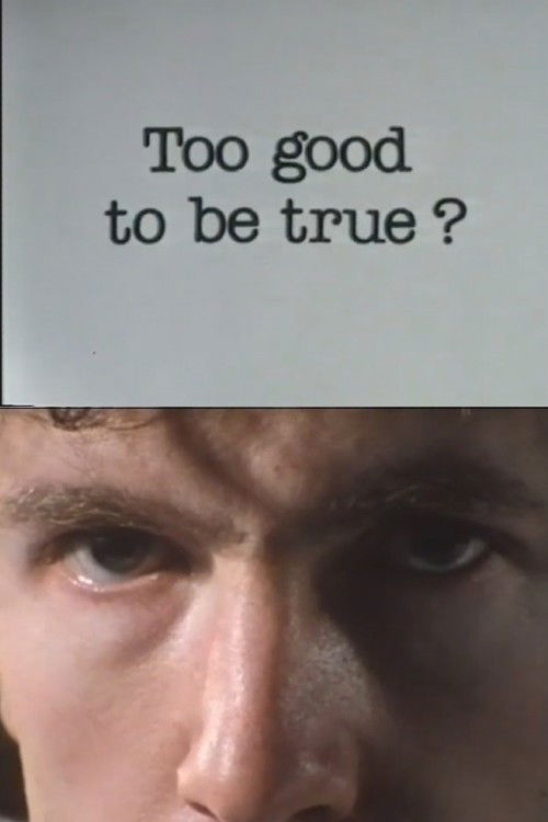 To Good To Be True? (1979) poster