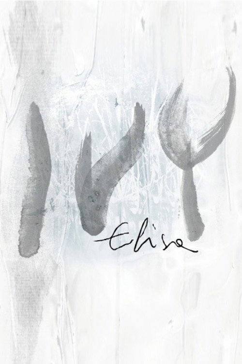 Elisa - Ivy (2010) poster