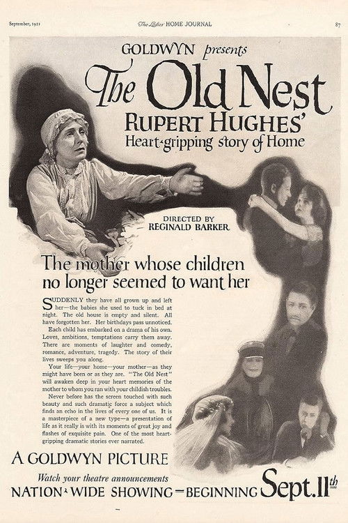 The Old Nest (1921) poster