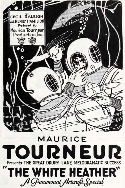 The White Heather (1919) poster