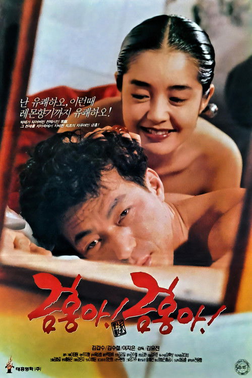 금홍아 금홍아 (1995) poster