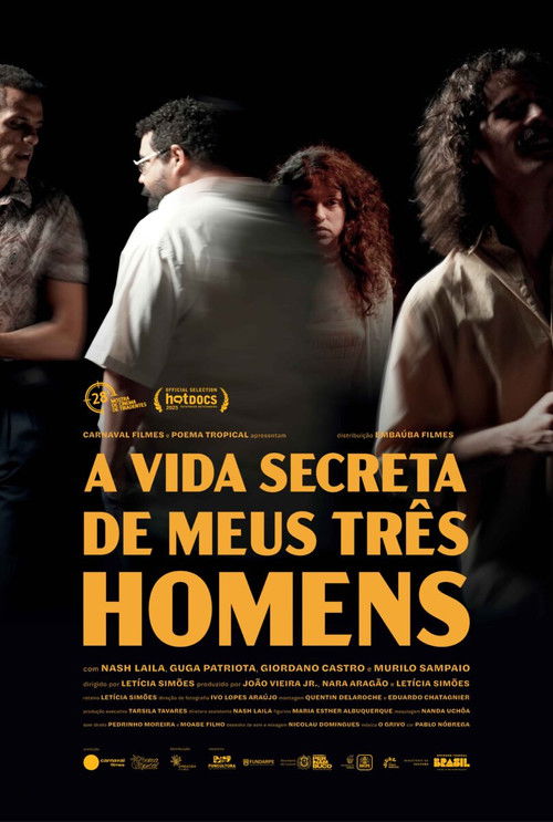 A Vida Secreta de Meus Três Homens (2026) poster