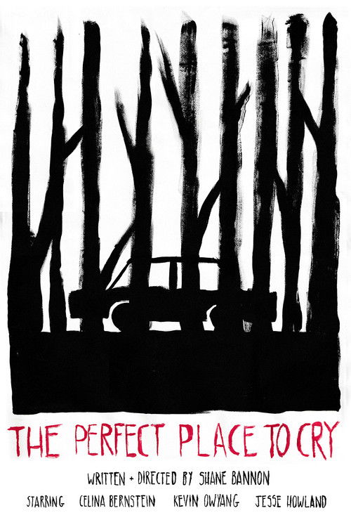 The Perfect Place to Cry (2023) poster
