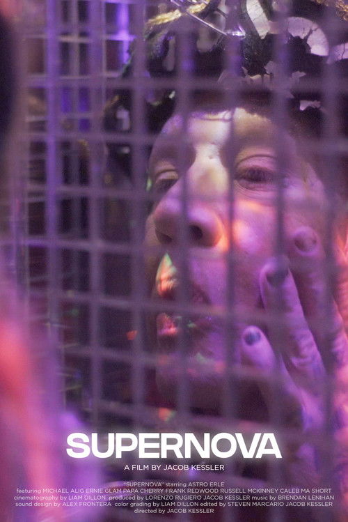 Supernova (2022) poster
