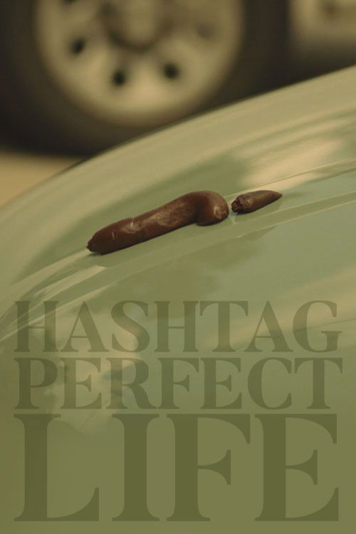 Hashtag Perfect Life (2018) poster