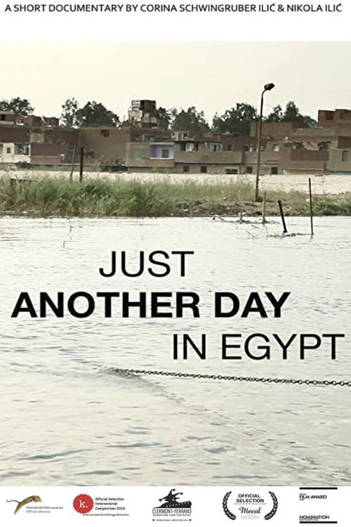 Just Another Day in Egypt (2015) poster