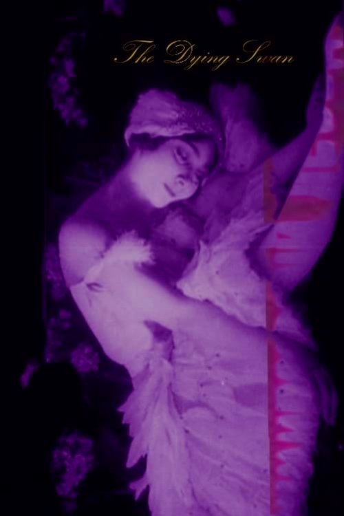 Умирающий лебедь (1917) poster
