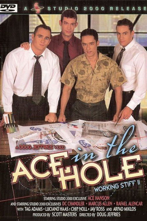 Ace in the Hole: Working Stiff 2 (2004) poster