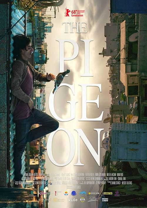 The Pigeon (2018) poster