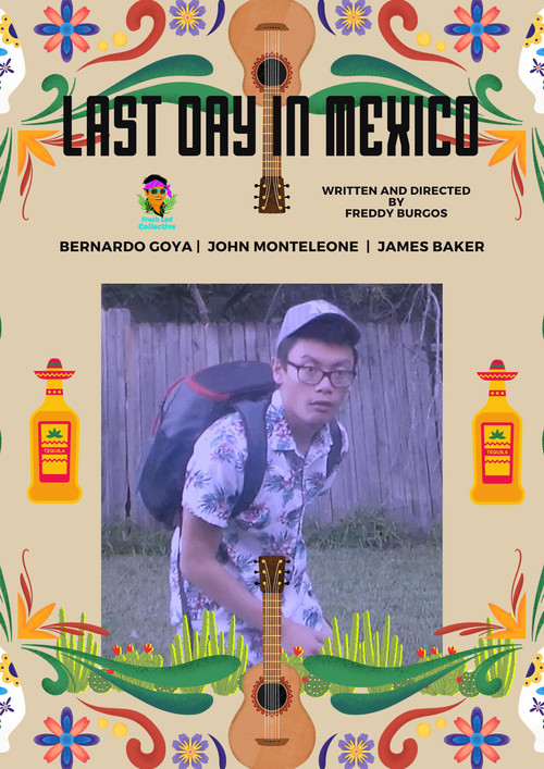 Last Day in Mexico (2016) poster