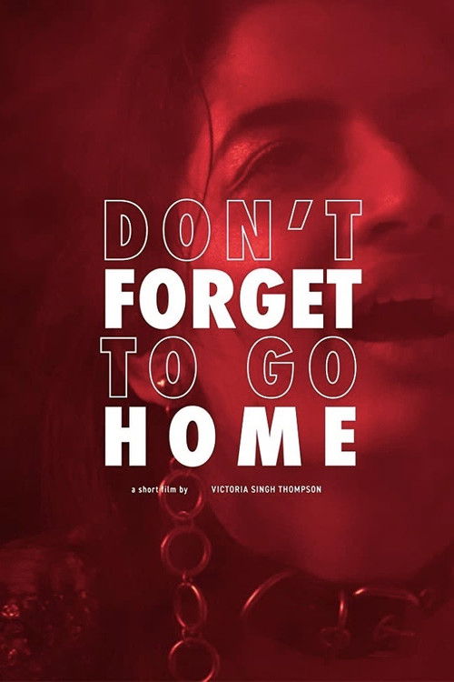 Don't Forget to Go Home (2020) poster