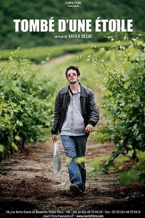 Tombé d'une étoile (2007) poster
