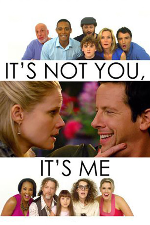It's Not You, It's Me (2013) poster