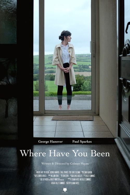 Where Have You Been (2021) poster