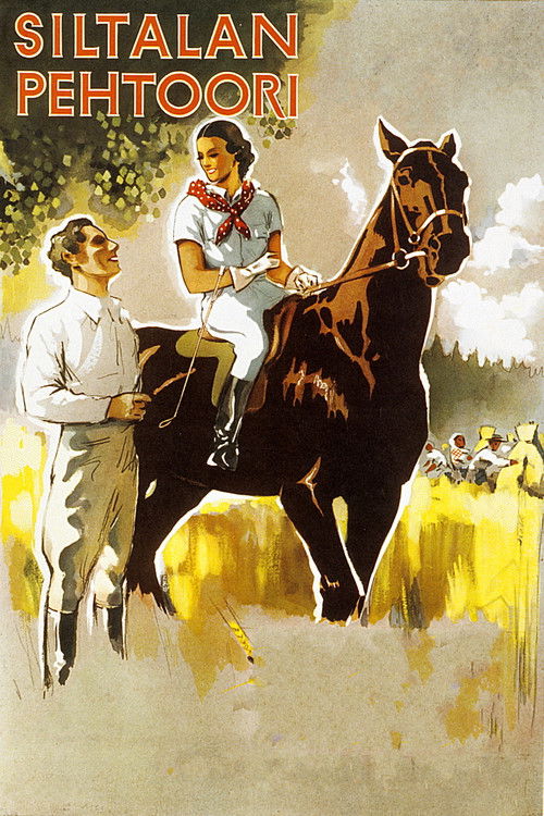 Siltalan pehtoori (1934) poster