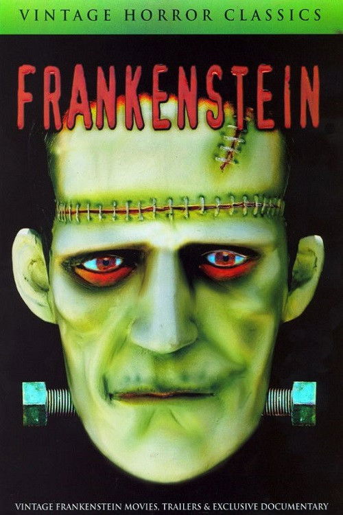 Mary Shelley's Frankenstein - A Documentary (2007) poster