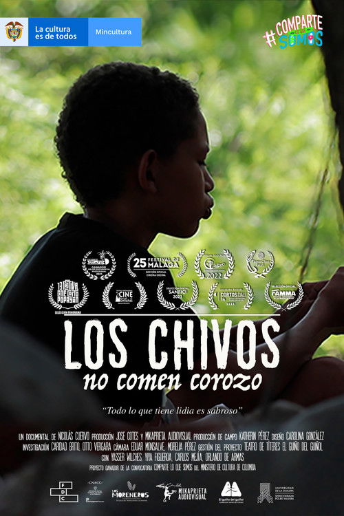 Los chivos no comen corozo (2021) poster