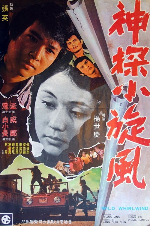 Wild Whirlwind (1974) poster