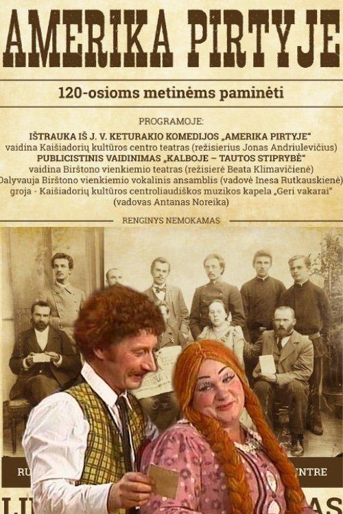 America in the Bathhouse (1982) poster