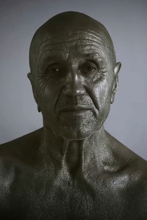 Happiness in Other Words (2009) poster