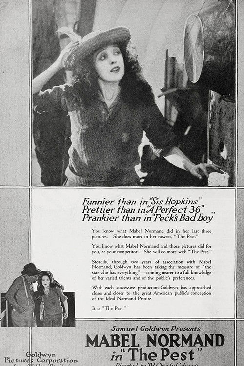 The Pest (1919) poster