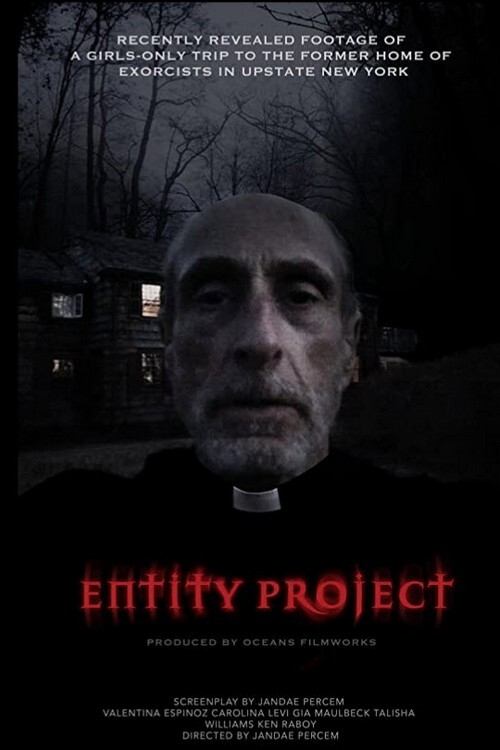 Entity Project (2019) poster
