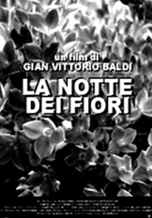 La notte dei fiori (1979) poster