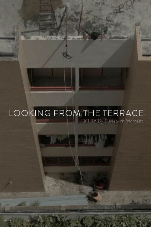 Looking From The Terrace (2015) poster