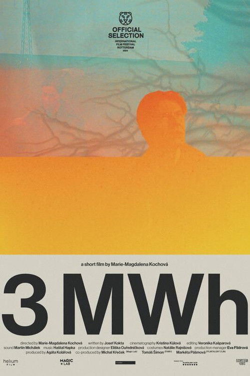 3 MWh (2024) poster